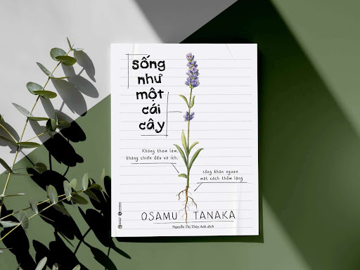 Sống như một cái cây – Osamu Tanaka | Dịch: Nguyễn Thị Thùy Anh | NXB Công THương, 2022