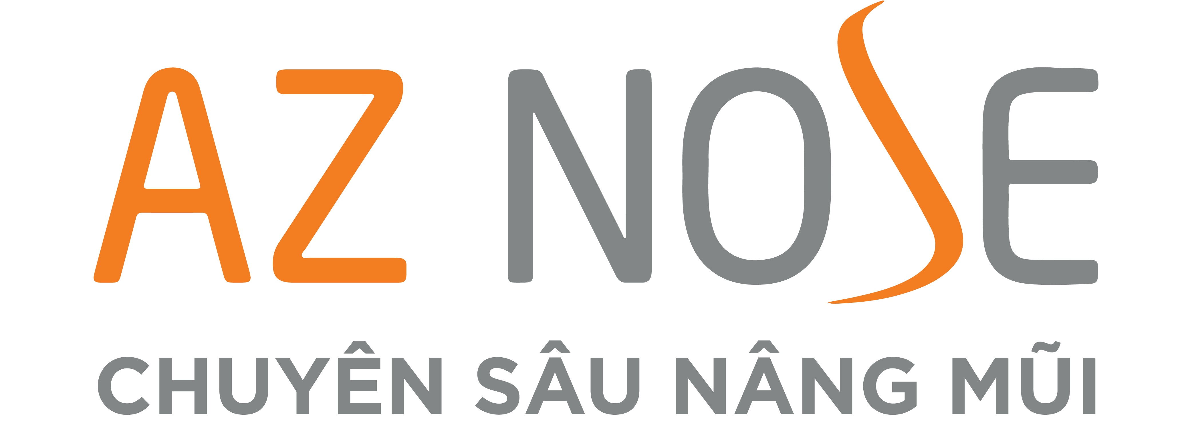 Logo-AZ